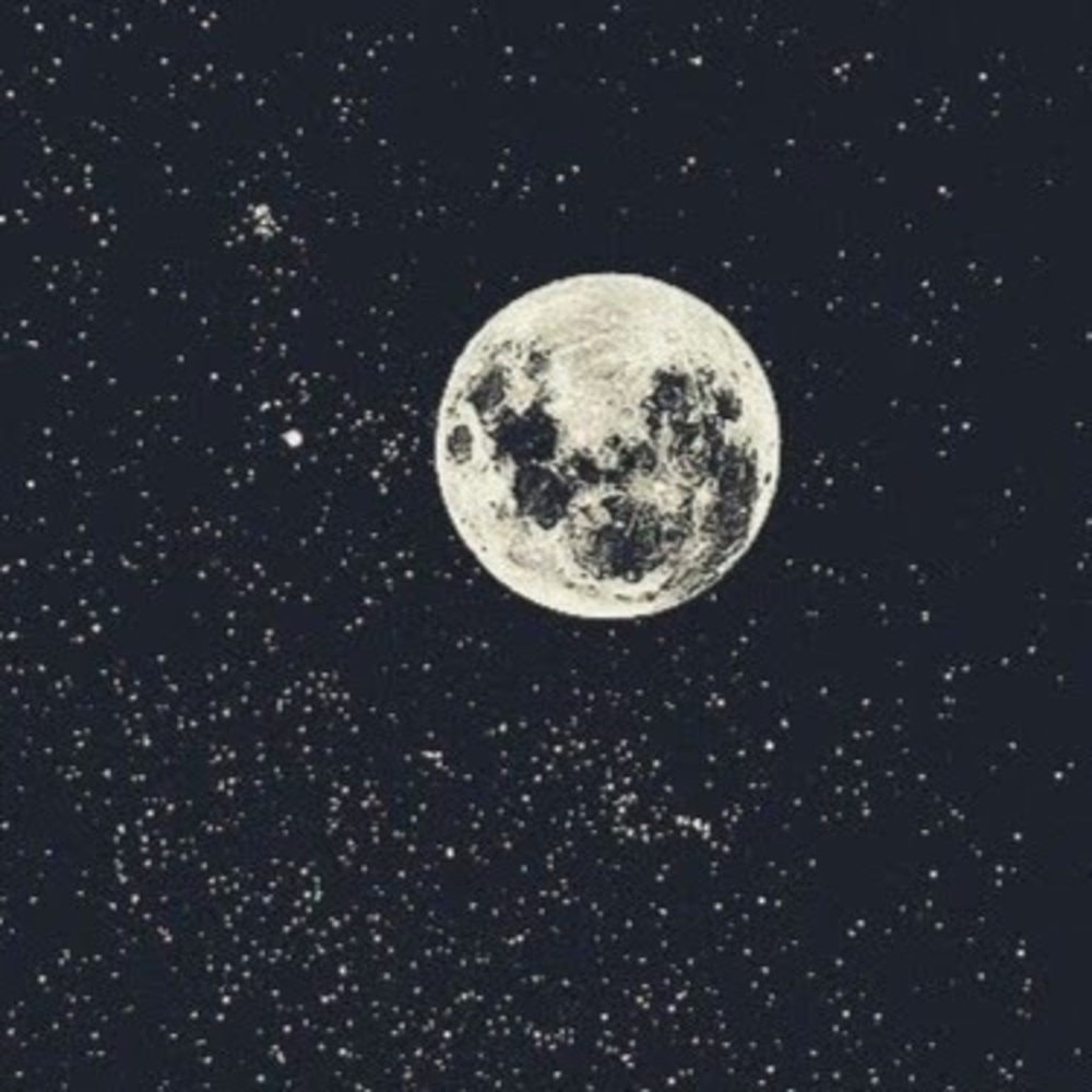 Meet your Posher, Kemmy